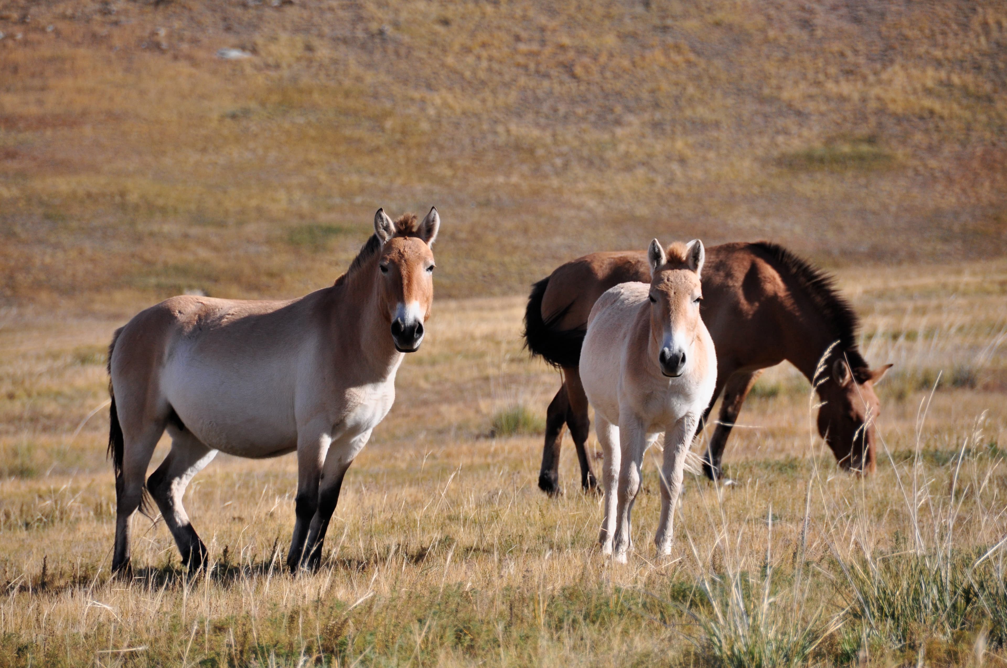 Nature & Wildlife Tours